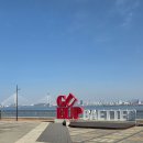 조개시장 | 구읍뱃터 앞 영종 조개시장 후기 회랑 조개구이 칼국수 풀코스