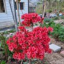 온수농장 이미지