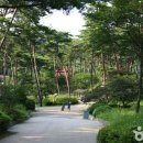 소나무카페(소나무관광농원) 이미지