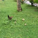 구암동413 | [여행/해외] 괌에는 신나는게 가득하괌 (마지막편)