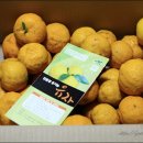 문성농장2 이미지