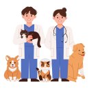 24시동물병원공감