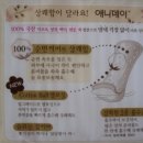 애니데이 이미지