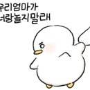 위트앤시니컬 이미지