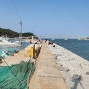 바다 행정사 사무소 이미지