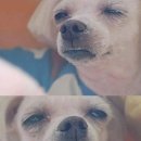음 Daum카페