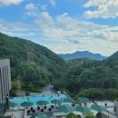 [제천 숙소]포레스트 리솜&amp;레스트리 리솜_힐링 숙소