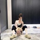 (주)연서산업 펫노트