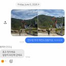 주식회사 그린푸드메이커 | 2박3일 무주산골영화제 다녀온 후기..⛰️🎬💜 (성심당과 태권도원 방문을 곁들인)