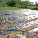 농사꾼농장 이미지