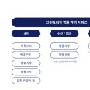 영남 명품세탁 이미지