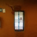 산골초가집 이미지