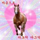 주식회사 마이솜