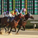 국제신문 이미지