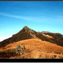 전남.화순/무등산(1,187m) 이미지