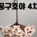 호야농원 이미지