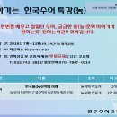 한국 수어B 이미지