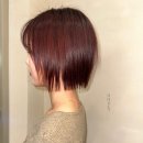 우이즈 이미지