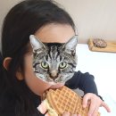 와플대학 과천자이캠퍼스 이미지