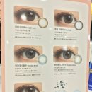 BD안경콘텍트 이미지