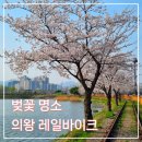 꽃길상회포차 | 사람없는 벚꽃 명소 의왕 레일바이크 벚꽃 구경 후기