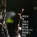 물친구 이미지