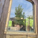 (주)헤르지아 | 미친 벌써 6월임