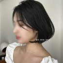 제오헤어 마포점