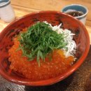 돈야 이미지