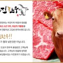 성웅기업 이미지