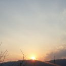 홍은농장 이미지