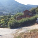 매전면사무소 이미지