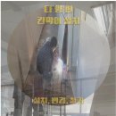 쑥고개길 이미지