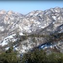 불광동 먹자골목 이미지