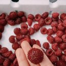 흥한과일 - 진주시 새평거로 25 | 흥한과일