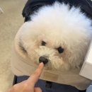 디엠씨(DMC) 이미지