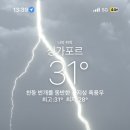 두유럽미
