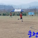 백마강생활체육공원 축구장 이미지