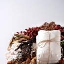 365동백한의원 이미지