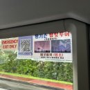 감성별빛투어 | [해외/괌]괌 탕기슨 별빛투어 내돈내산 솔직후기 | 괌 신혼여행 일정 추천