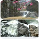 추억 되살리기 [카카오스토리 는 참으로 감사해요.] 이미지