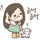 버들글씨디자인연구소 이미지