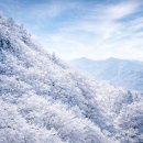 제124차 무주 덕유산 눈꽃산행 이미지
