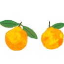 고성 탑 글램핑 농원 이미지