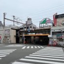 모모민박 이미지