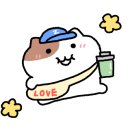 벨리워치 이미지
