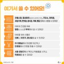 아이샵안경콘택트 이미지