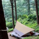 축령산자연휴양림 이미지