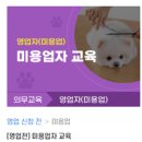 교보동물병원 네이버블로그