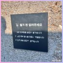 푸른청과 - 남양주시 사릉로452번길 3 | 강원도 속초 대형 카페 울산바위 뷰 흑임자라떼 맛집, 긷